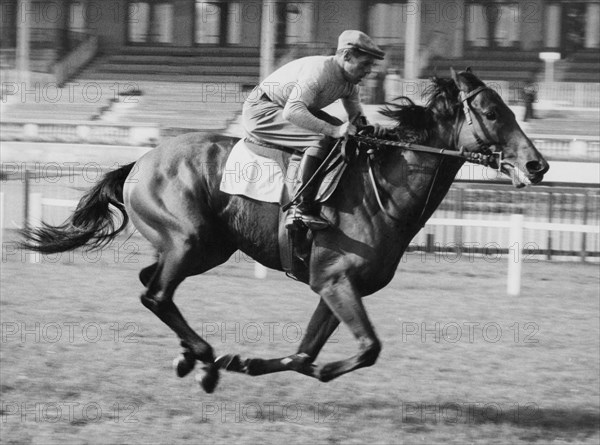 enrico camici sur un ribot, 1950-1960