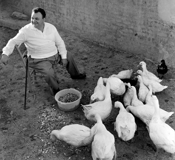 portrait de luciano tajoli à la campagne, 1962