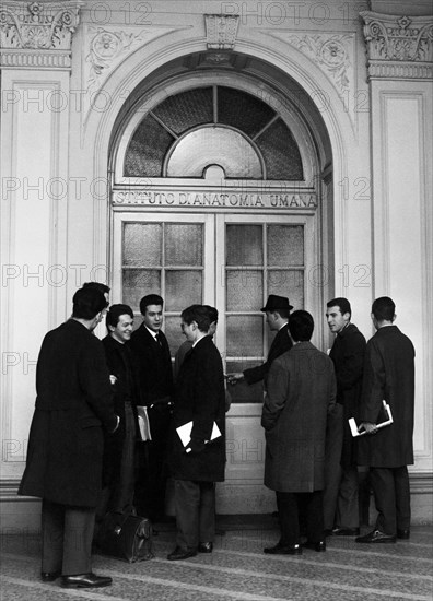 italie, lombardie, milan, étudiants en médecine à l'entrée de l'institut d'anatomie humaine, 1964