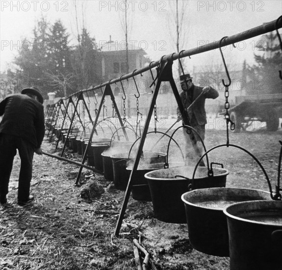 italie, piémont, haricots typiques au carnaval de santhià, 1966