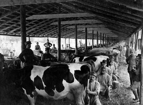 approvisionnement en provisions, laboratoire photographique du commandement suprême, 1916