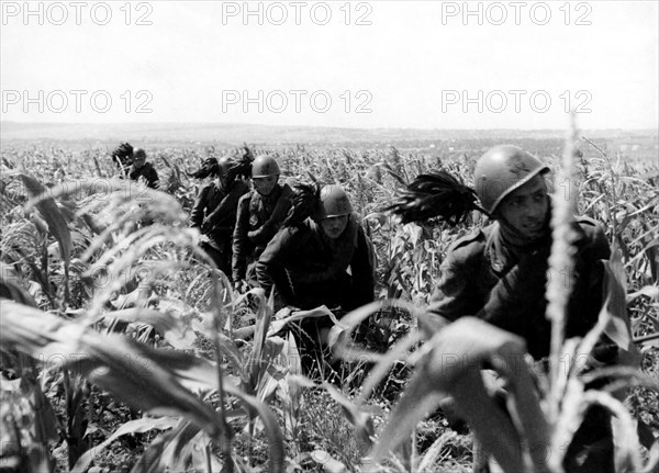 guerre, bersaglieri, 1939 1945