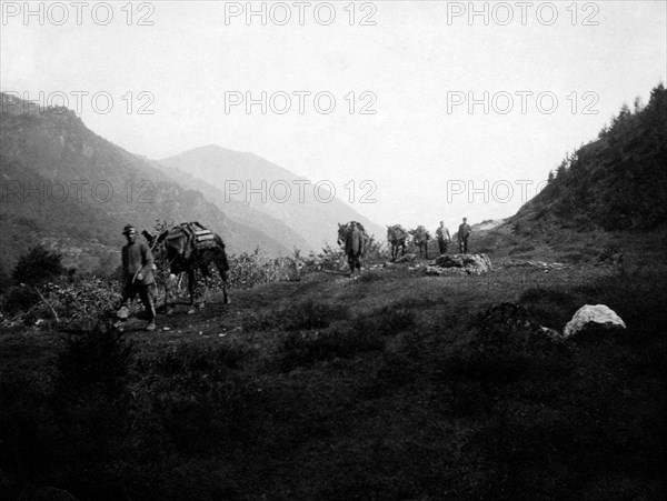 guerre, fournitures, 1915-18