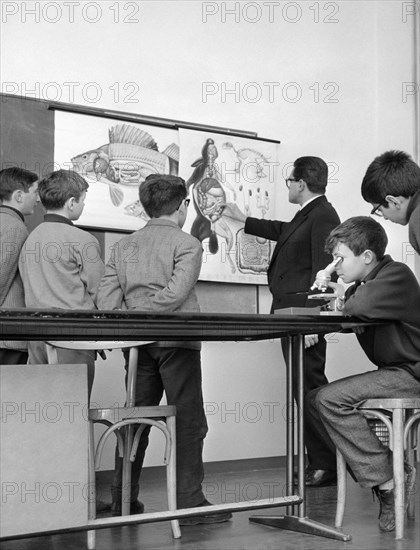 éducation, conférence sur la biologie au programme culturel de l'ist humanitaire, iard, mars 1964