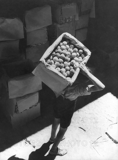 la récolte des fruits dans un style photographique intéressant, un témoignage significatif du goût d'une époque. 1915-40