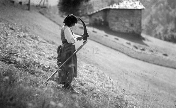 agriculteur, fenaison