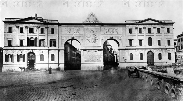 Horses in Italy