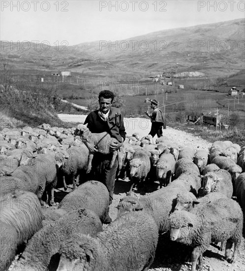 Lazio. shepherds in Carpineto Romano. 1965