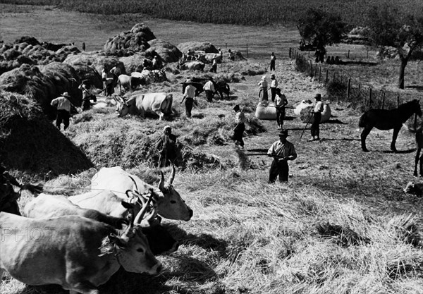 Italy. Lazio. Roman countryside. 1930