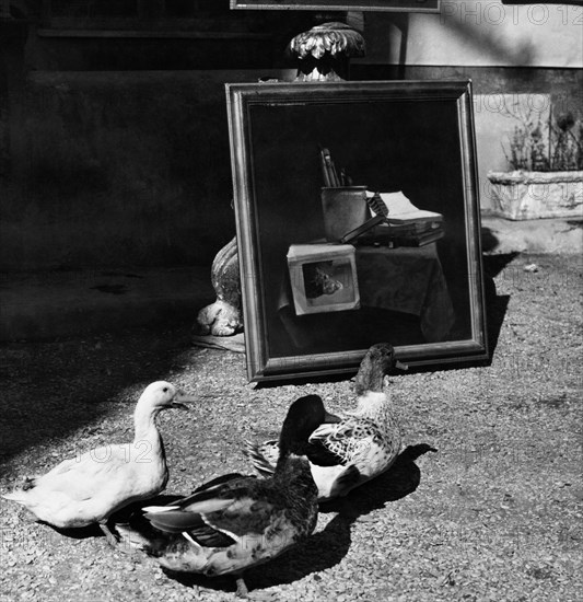 Italy. rome. singular presences in via margutta. 1958