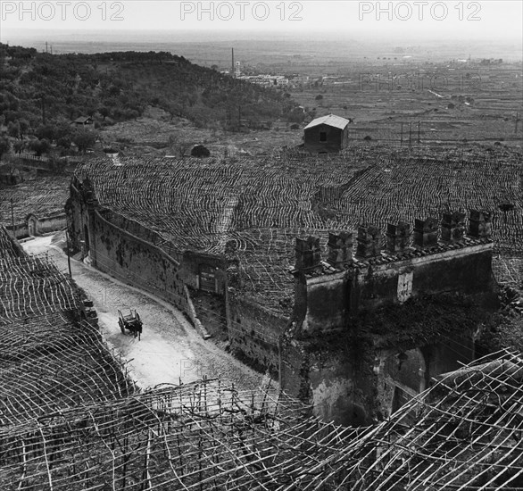 Italy. lazio. porta del colle. 1950