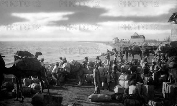 Yemen. mokha. coffee market at the port of mokha. 1910-20