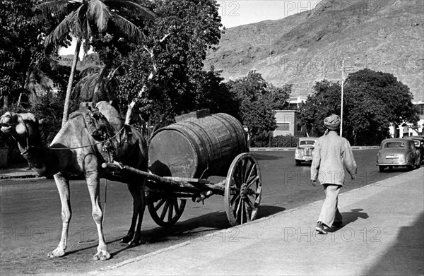 Asia. yemen. aden. 1960