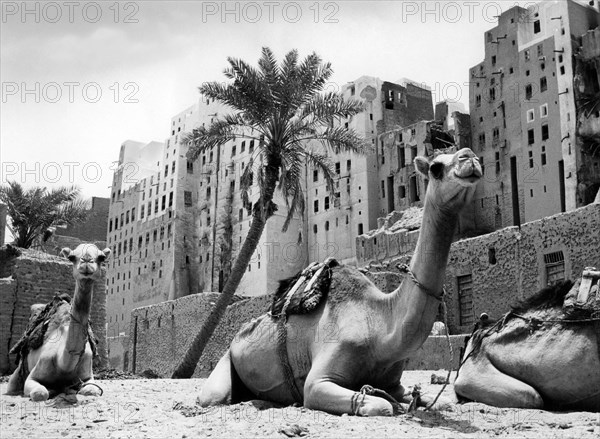 Asia. yemen. aden. shibam. part of the circle of walls. 1957