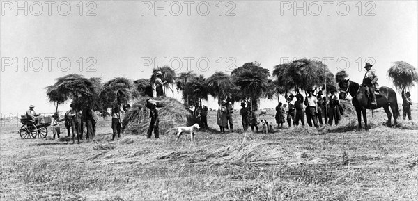 Italy. Tuscany. a group of peasants after the harvest. 1910-20