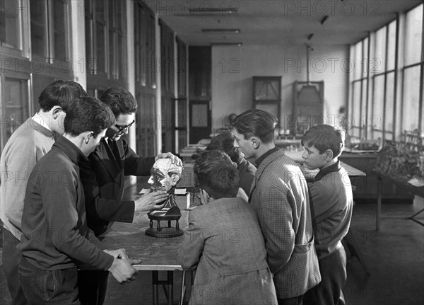 Education. Biology Lesson. 1964