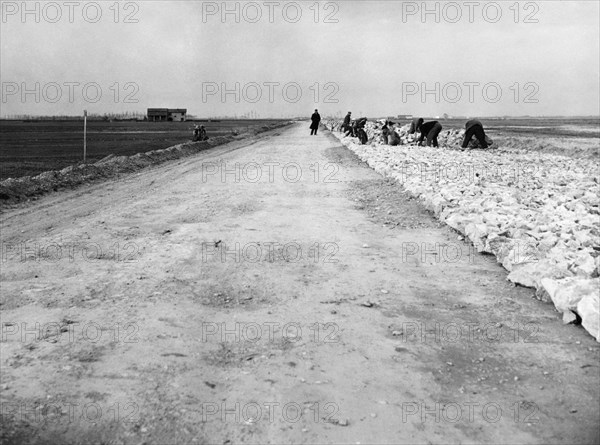 Romea Street From Ravenna To Chioggia. 1956