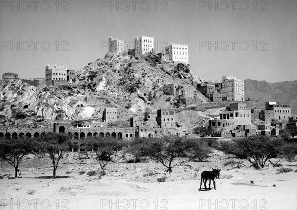Asia. Yemen. Near Aden. 1967
