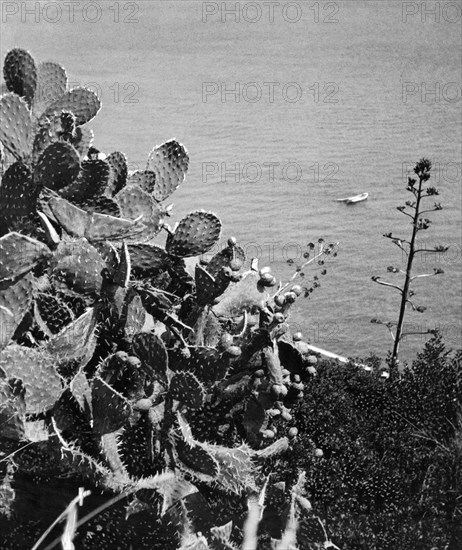 Italy. Campania. Amalfi Coast. 1920-30