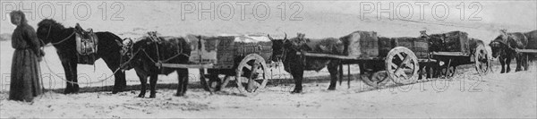 Mongolia. 1910-20