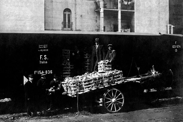 Vegetables Control At The Station. Castellammare Di Stabia. 1910-20