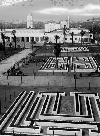 Italy. Campania. Naples. Three Years Overseas. The Labyrinths Of The Citrus Of Restaurants In The Background. The Exhibition Of Libya. 1940