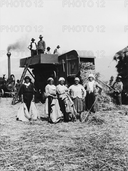 Italy. Campania. Presenzano. Farmer. 1930