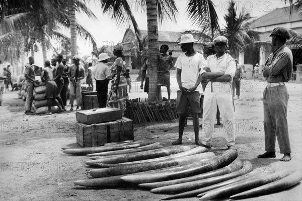 On The Banks Of Kasai River. Belgian Congo. Africa 1927 1930