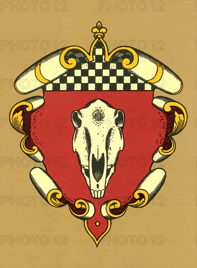 Hare faces a horse's skull in which it has a mouse and frog.