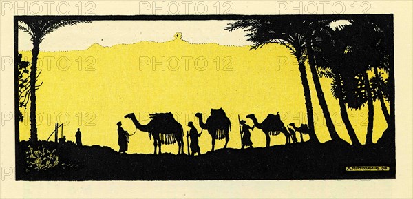 Merchant caravan of camels in oasis.