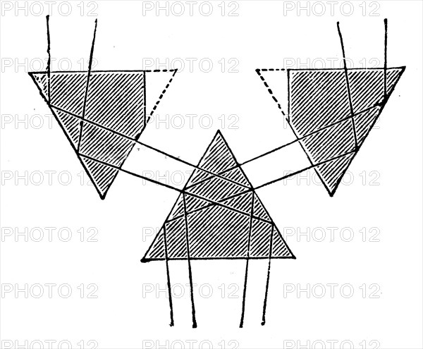 Rays in the binocular microscope.