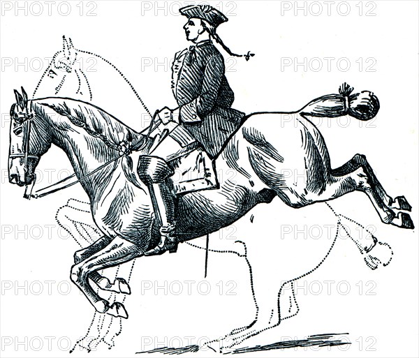 Graduate School of Riding - Caprioli, dotted line denotes the position of a horse before a jump and after.