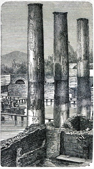 Columns of the temple of Serapis at Pozzuoli.