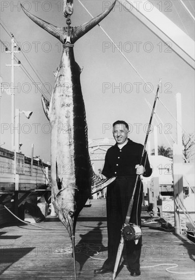 A blue marlin caught off miami beach.