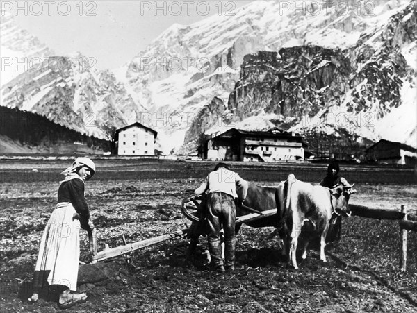 Peasants Working In The Fields.