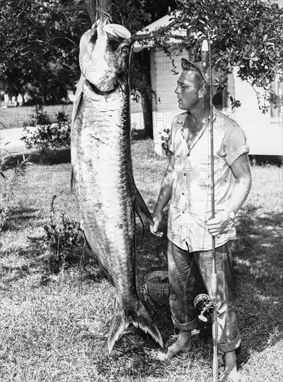 130 Kg Fish Caught In The Gulf Of Mexico.