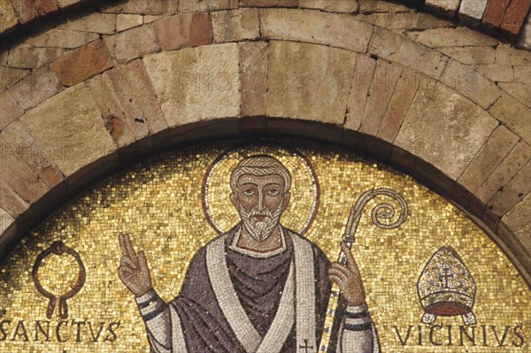 Mosaic Of San Vicinio.