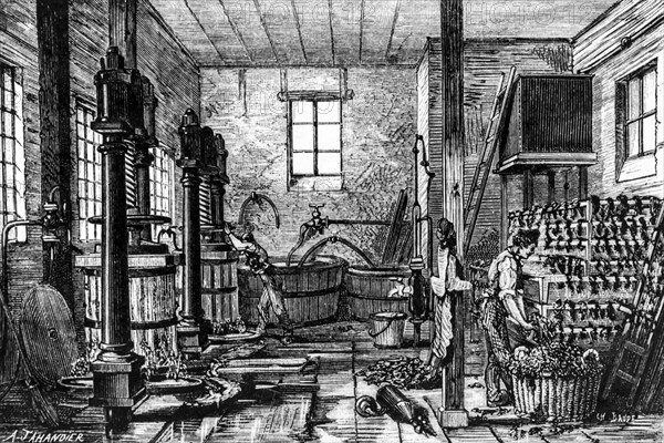 Antique engraving of a tobacco manufactory