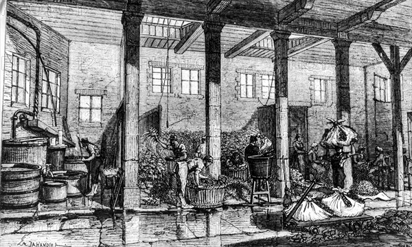 Antique engraving of a tobacco manufactory