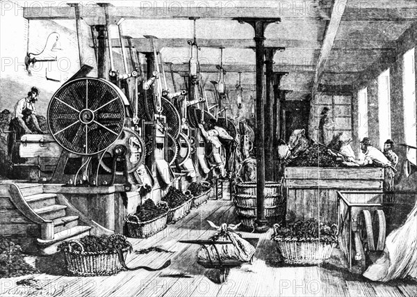 Tobacco manufacturing of paris, engraving by a.jahandier