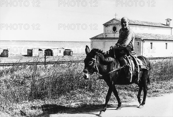 Man ride his donkey, ionian sea, calabria, italy, 60's