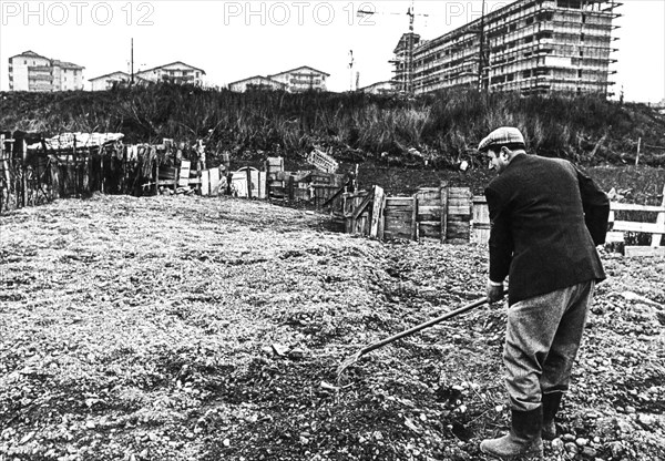 Farmer, affori quarter, milan, 70s