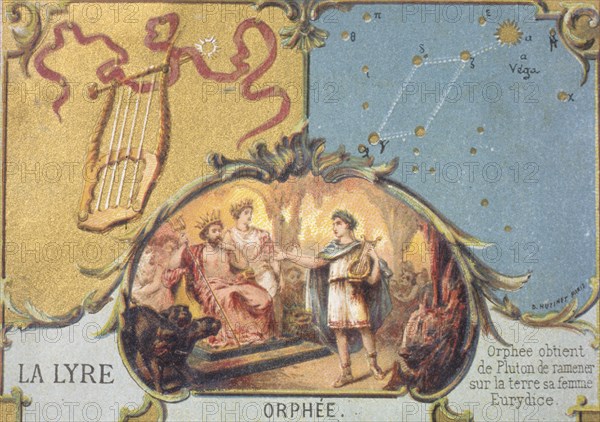 The lyre, constellation