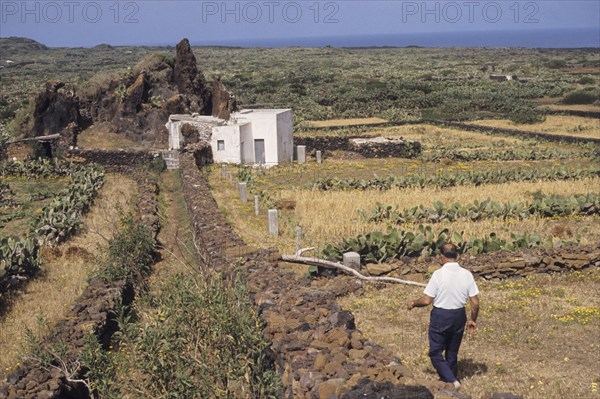 Farmer, linosa, italy