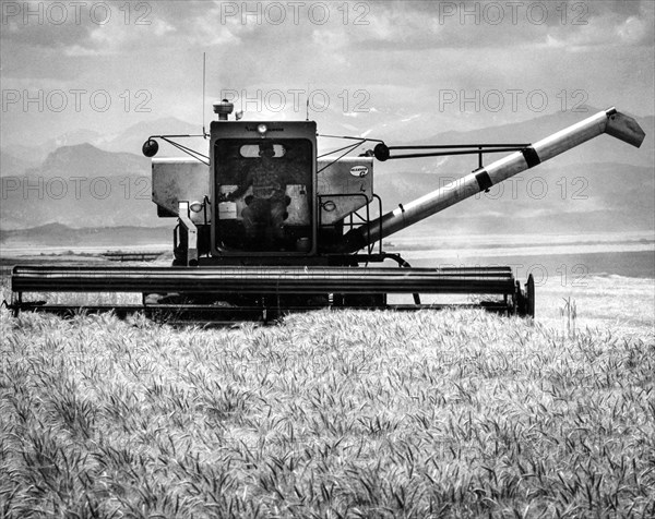 Combine harvesters, colorado, usa