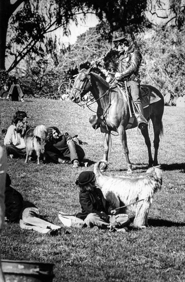 Document control at park, san francisco, california