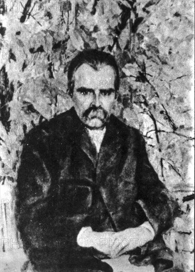 Friedrich wilhelm nietzsche, 1895