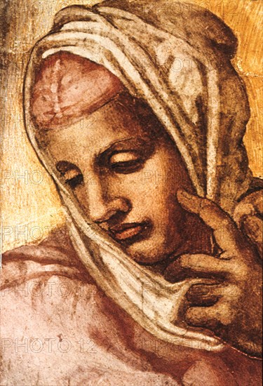 Vittoria colonna, michelangelo