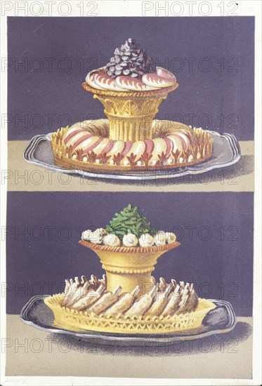 Illustration painted by marcel ronjat for the cookbook le livre de cuisine by the chef jules gouffe, 1867