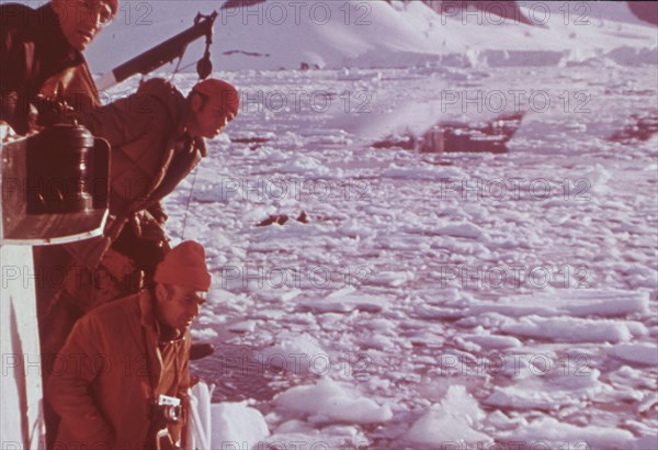 Jacques Yves Cousteau on  the oceanographic ship Calypso